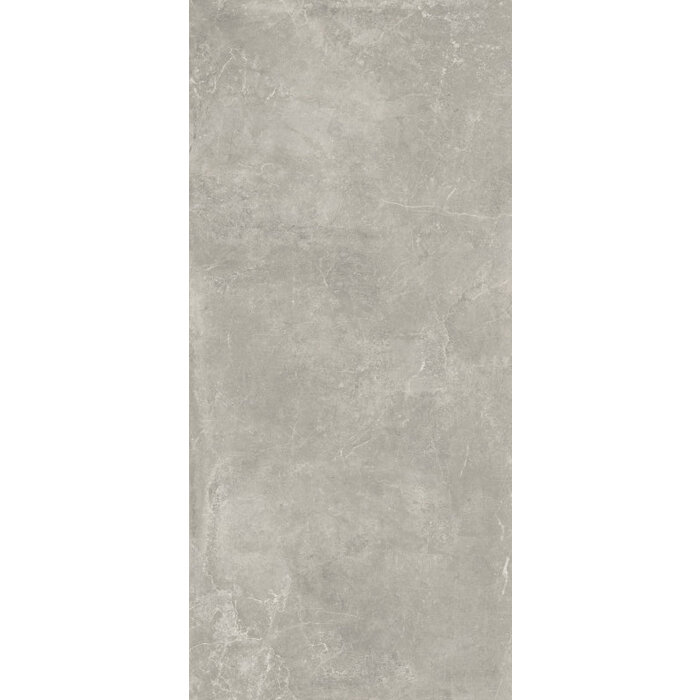 Baldocer Cerámica Concept Grey gepolijst 120x260 rett