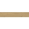 Energieker Woodwise Cedar 6mm 20x120 rett