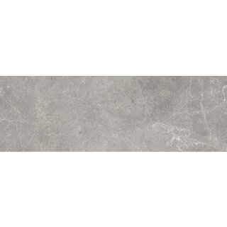 Sample Concept Grey wandtegel 30x90 rett