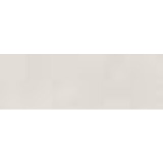 Sample Gravity Ivory 40x120 rett