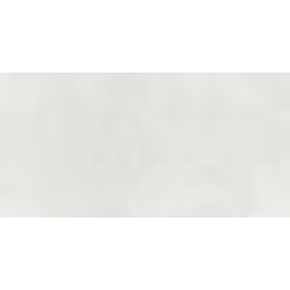 Sample Arkety Silver 30x60 rett