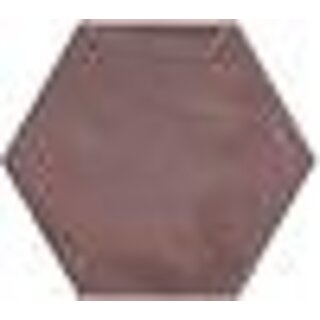 Sample Hexagon Moon Garnet glans 16x18
