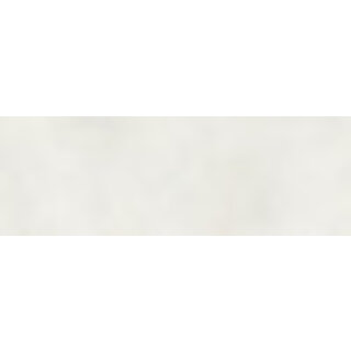 Sample Arkety Silver 40x120 rett