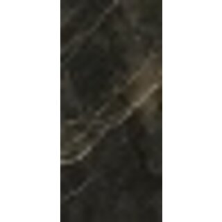 Sample Wacom Forest gepolijst 120x260 rett slab