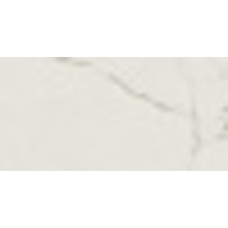 Sample Exigo Calacatta gepolijst 60x120 rett