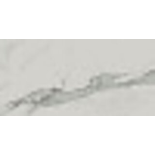 Sample Exigo Statuario mat 30x60 rett