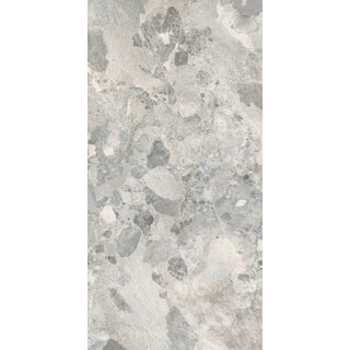 STN Ceramica Larocca Grey gepolijst 60x120 rett