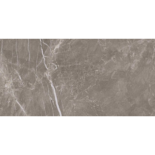 Prissmacer Cerámica Fior di Bosco Noce gepolijst 30x60 rett