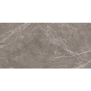 Prissmacer Cerámica Fior di Bosco Noce silk 60x120 rett