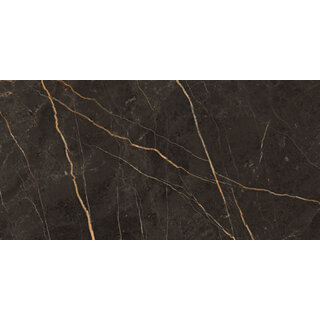 Energieker Saint Laurent polished 60x120 rett