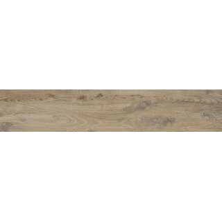 Cifre Cerámica Nebraska Elm 23x120