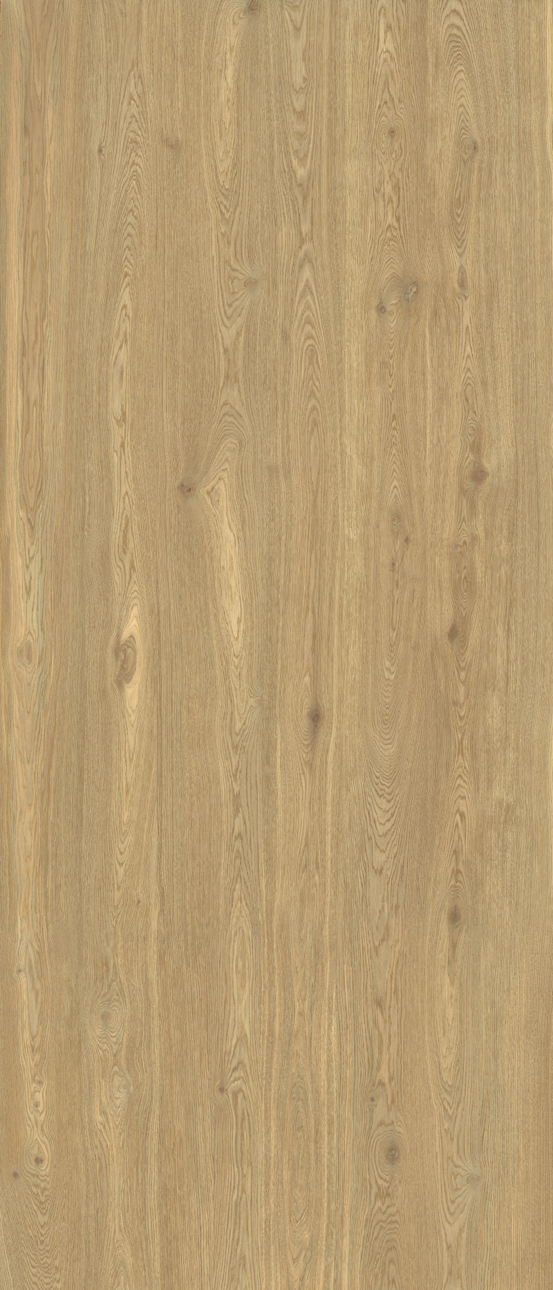 Energieker Woodwise Auburn 6mm 120x280 rett