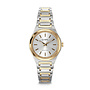 Momentum - OL66DSS027B