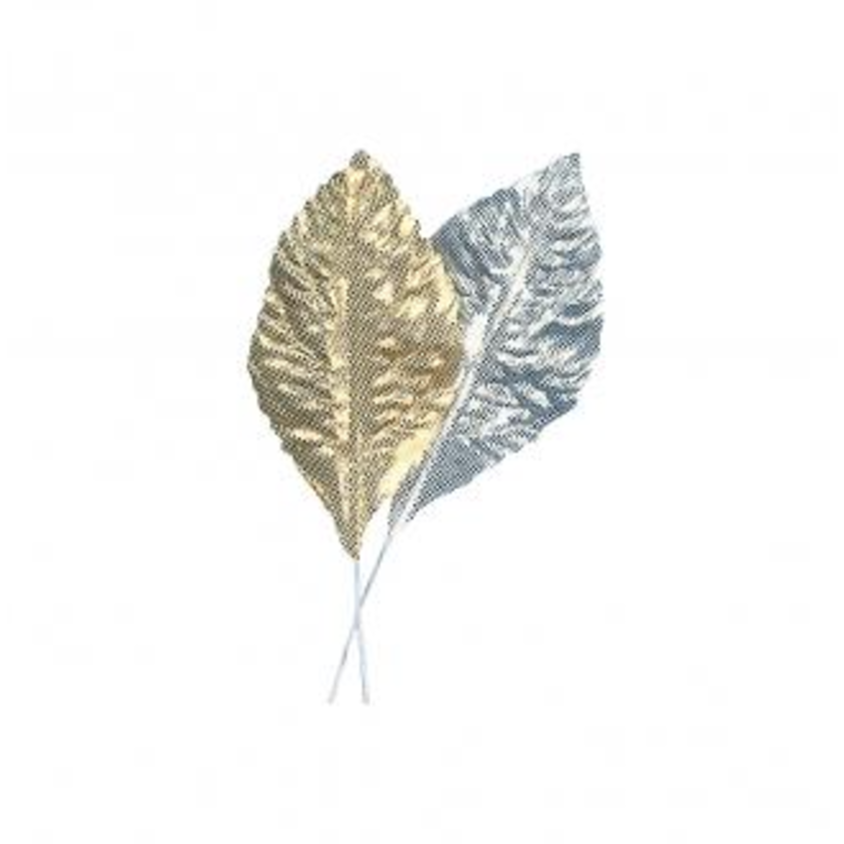 Feuilles de brocard