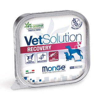 Monge Vet Solution Dog Food - Recovery Paté
