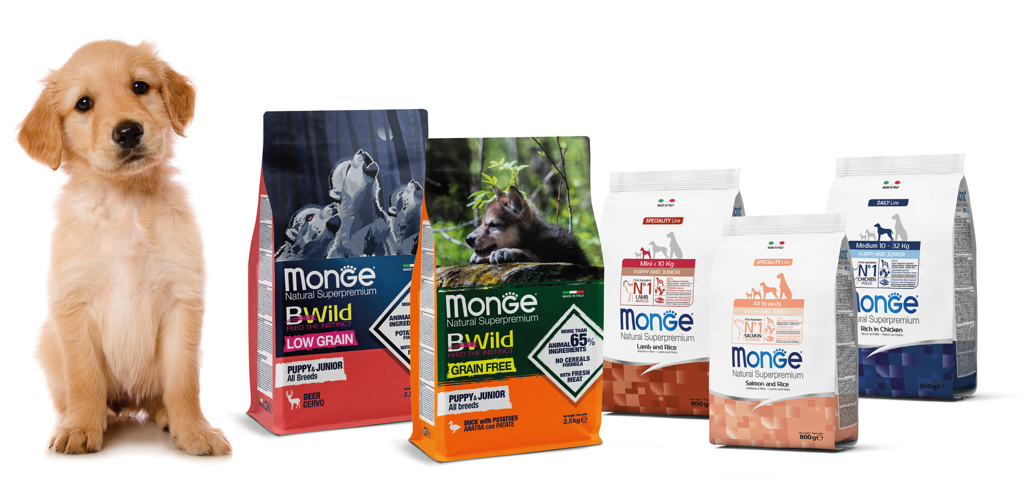 Combining wet and dry food for your dog