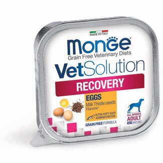 Monge Vet Solution Dog Food - Recovery Paté