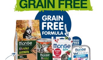 Natural Dog Food: BWild | Food with a high meat content -