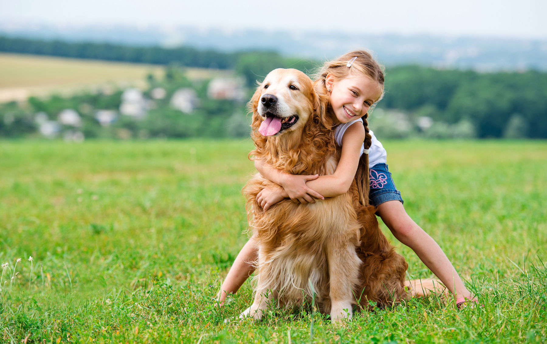 Communication chez le chien