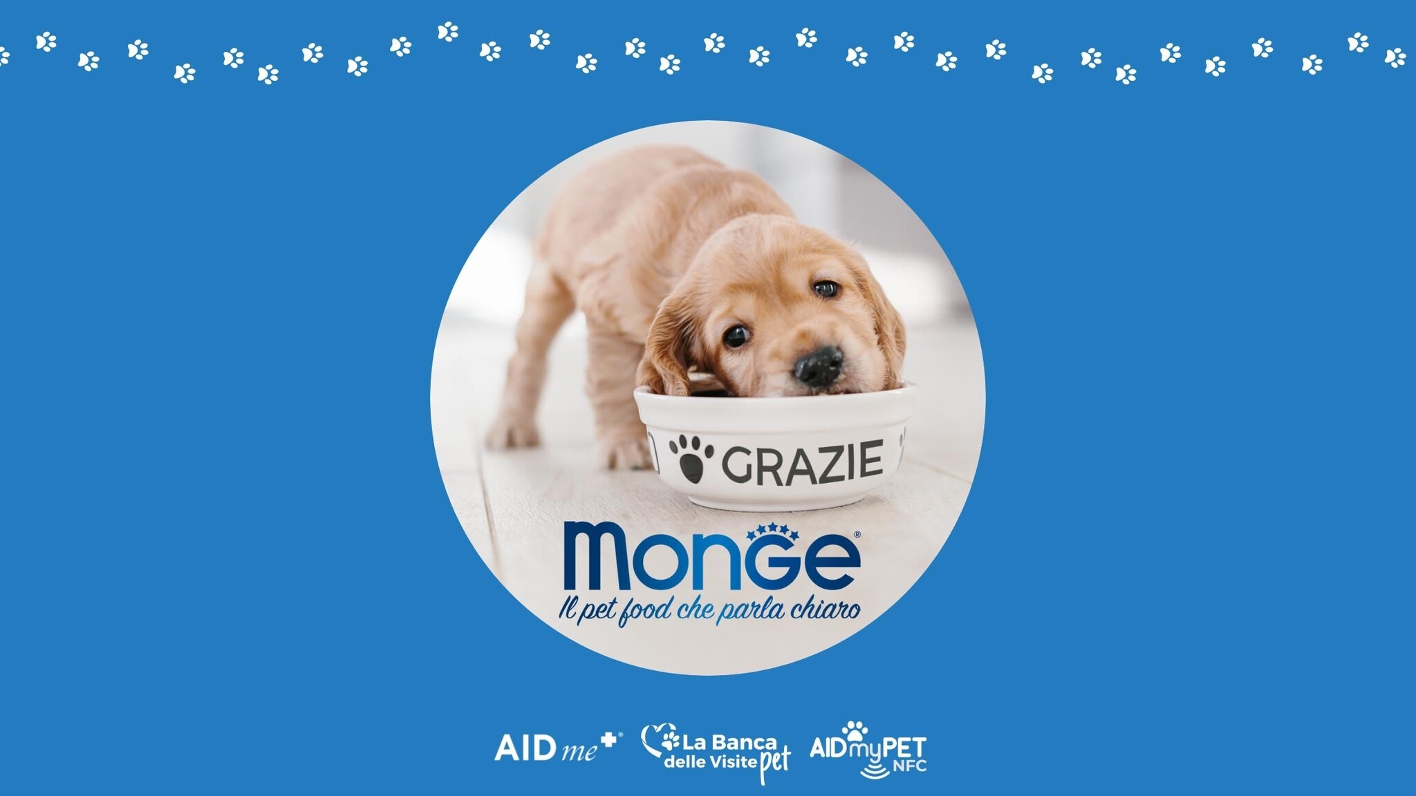 Banque de dons pour les soins vétérinaires des animaux de compagnie : des soins vétérinaires pour ceux qui ne peuvent pas se les permettre