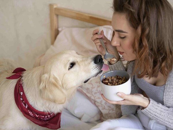 Welches Hundefutter sollte man für eine trächtige Hündin verwenden?