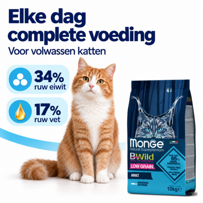 Croquettes pour chats - Adultes - à l'anchois - faible en céréales - 10 kg