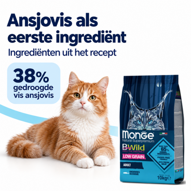 Croquettes pour chats - Adultes - à l'anchois - faible en céréales - 10 kg
