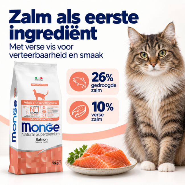 Croquettes pour chats - Adultes - Monoprotéine saumon - 10 kg