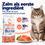 Cat Kibble - Adult - Monoprotein Salmon - 10 kg