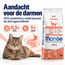 Croquettes pour chats - Adultes - Monoprotéine saumon - 10 kg