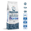 Katzenfutter - Sterilisiert - Monoprotein Forelle - 10 kg