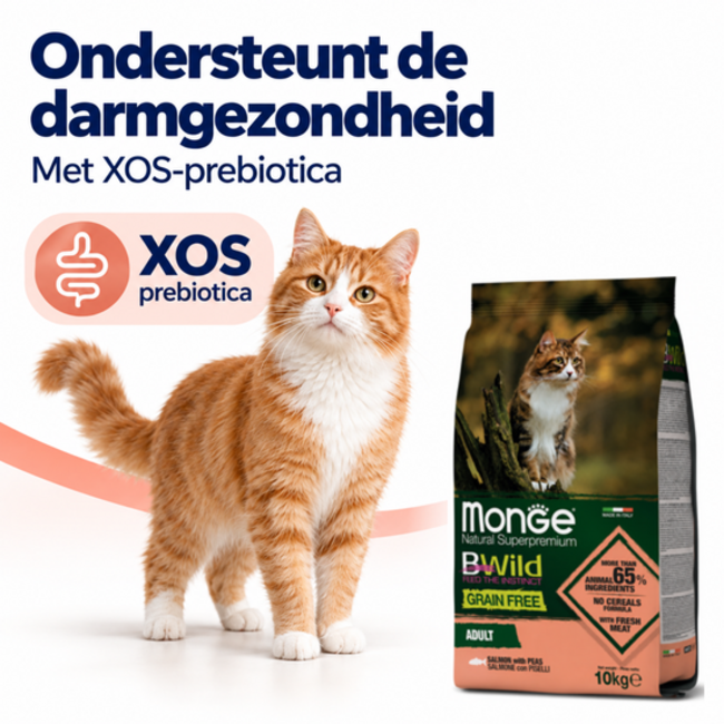 Cat Kibble - Adult - with salmon and peas - grain-free - 10 kg