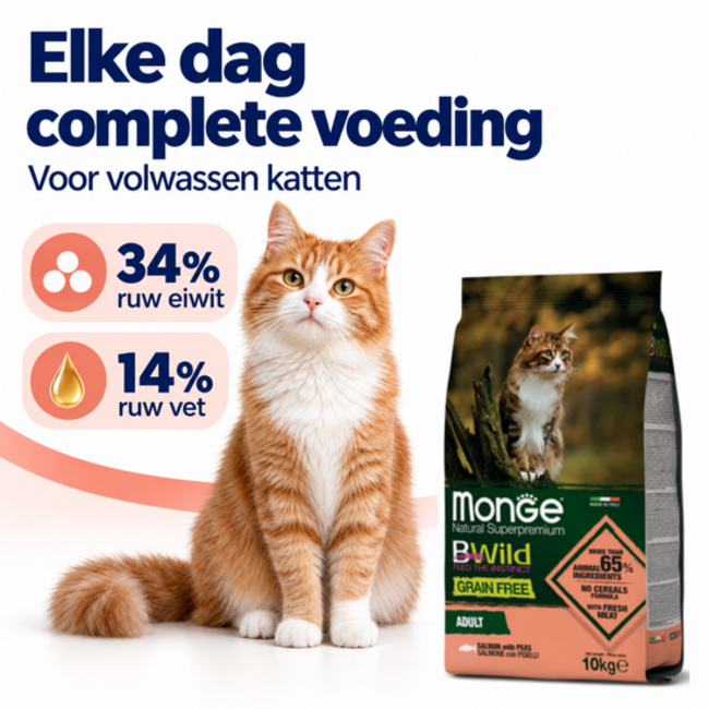 Cat Kibble - Adult - with salmon and peas - grain-free - 10 kg
