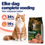 Katzenfutter - Adult - mit Lachs und Erbsen - getreidefrei - 10 kg