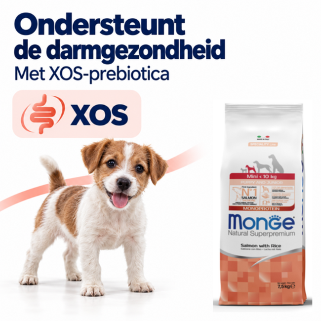 Pienso para perros - Mini Cachorro y Junior Salmón con arroz - 15 kg