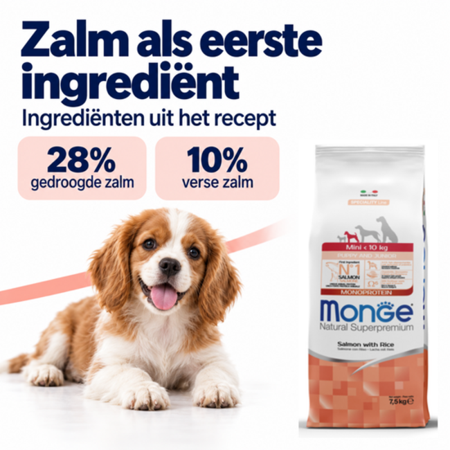 Hondenbrokken - Mini Puppy & Junior Zalm met rijst - 15 kg
