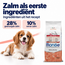 Dog Food - Mini Puppy & Junior Salmon with Rice - 15 kg