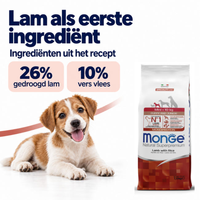 Croquettes pour chiens - Monoprotéine Mini Chiot & Junior Agneau et Riz - 15 kg