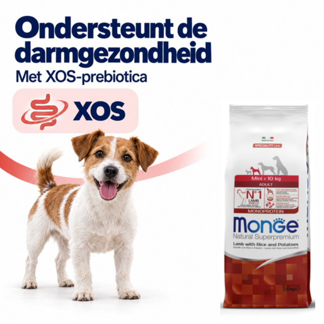 Croquettes pour chiens – Monoprotéine Mini Adulte Agneau avec Riz et Pommes de terre - 15 kg