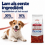 Pienso para perros – Monoproteína Mini Adulto Cordero con Arroz y Patatas - 15 kg