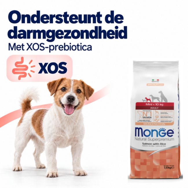 Pienso para perros – Monoproteína Mini Adult Salmón con Arroz - 15 kg