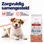 Croquettes pour chiens – Monoprotéine Mini Adulte Saumon avec Riz - 15 kg