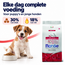 Hundefutter – Mini Puppy & Junior Reich an Huhn - 15 kg