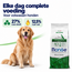 Dog Food - Maxi Adult Rich in Chicken - 15 kg