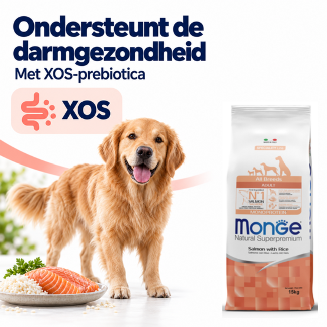 Croquettes pour chiens - Monoprotéine Adulte Saumon avec Riz - 15 kg