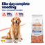 Croquettes pour chiens - Monoprotéine Adulte Saumon avec Riz - 15 kg
