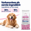 Dog Food - Monoprotein Adult Pork with Rice and Potatoes - 15 kg