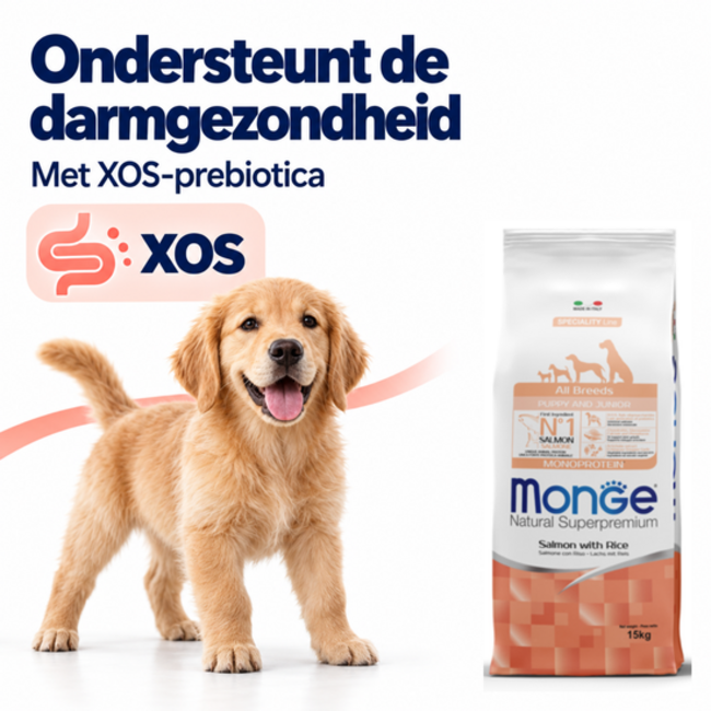 Hundefutter - Monoprotein Puppy & Junior Lachs mit Reis - 15 kg
