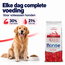 Hondenbrokken - Adult Actief met Kip - 15 kg
