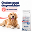 Pienso para perros - Problemas articulares - 12 kg